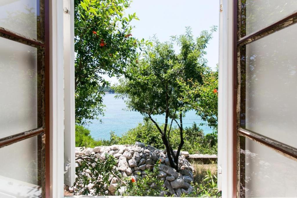 萨度拉德 斯穆诺维克旅馆酒店 外观 照片